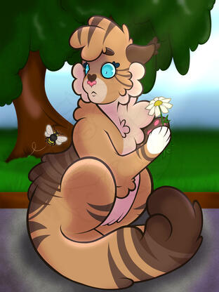 Wildflower Wildflower